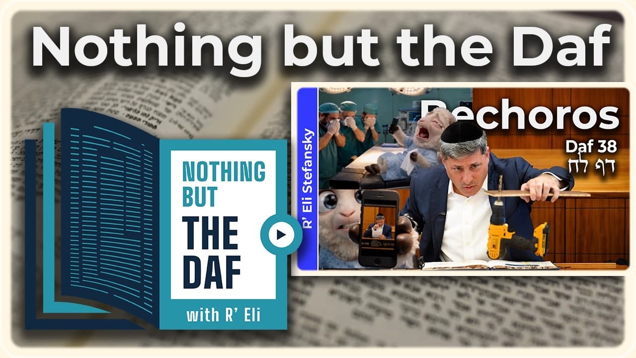 CHAZARAH - Bechoros Daf 38 | "Nothing but the Daf" with R' Eli Stefansky