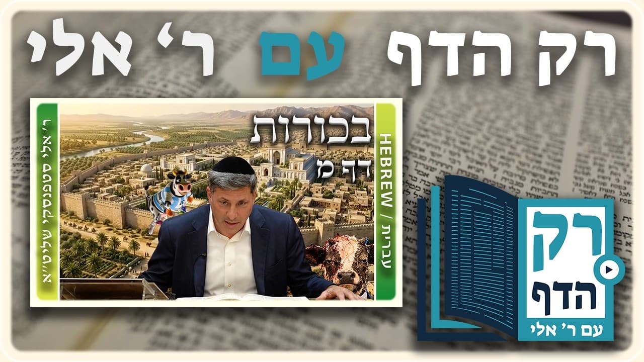 חזרה - בכורות דף מ | "רק הדף" עם ר' אלי סטפנסקי
