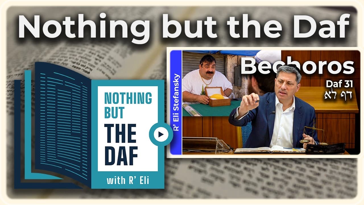 CHAZARAH - Bechoros Daf 31 | "Nothing but the Daf" with R' Eli Stefansky
