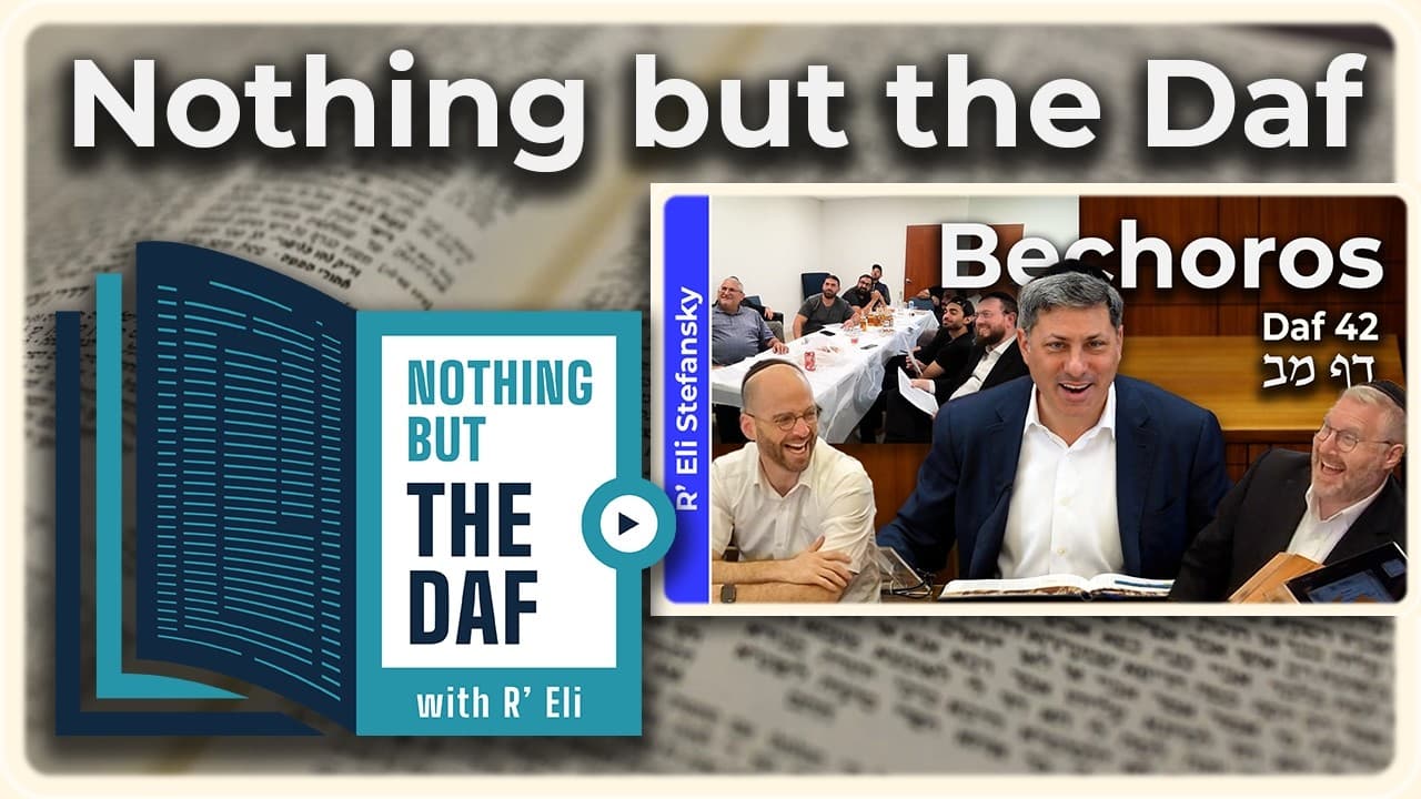 CHAZARAH - Bechoros Daf 42 | "Nothing but the Daf" with R' Eli Stefansky