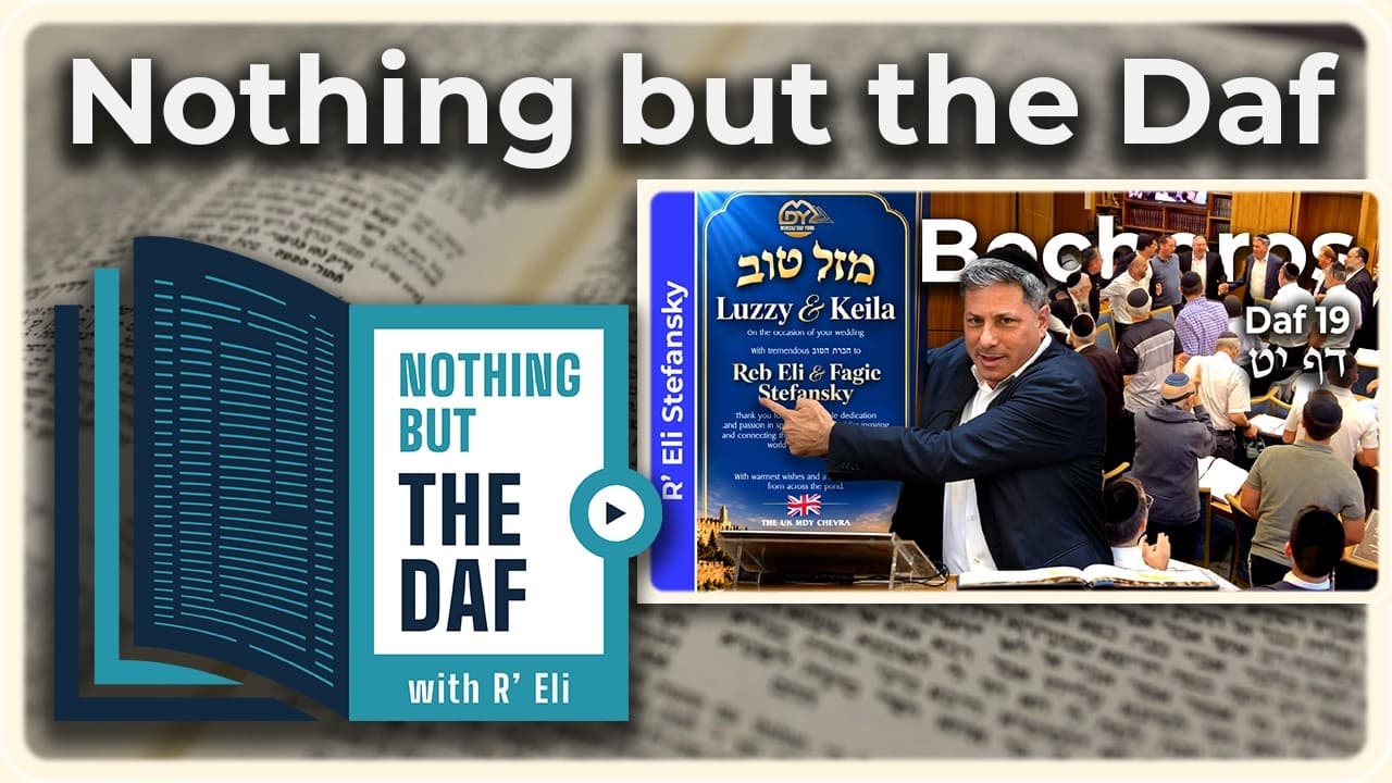 CHAZARAH - Bechoros Daf 19 | "Nothing but the Daf" with R' Eli Stefansky