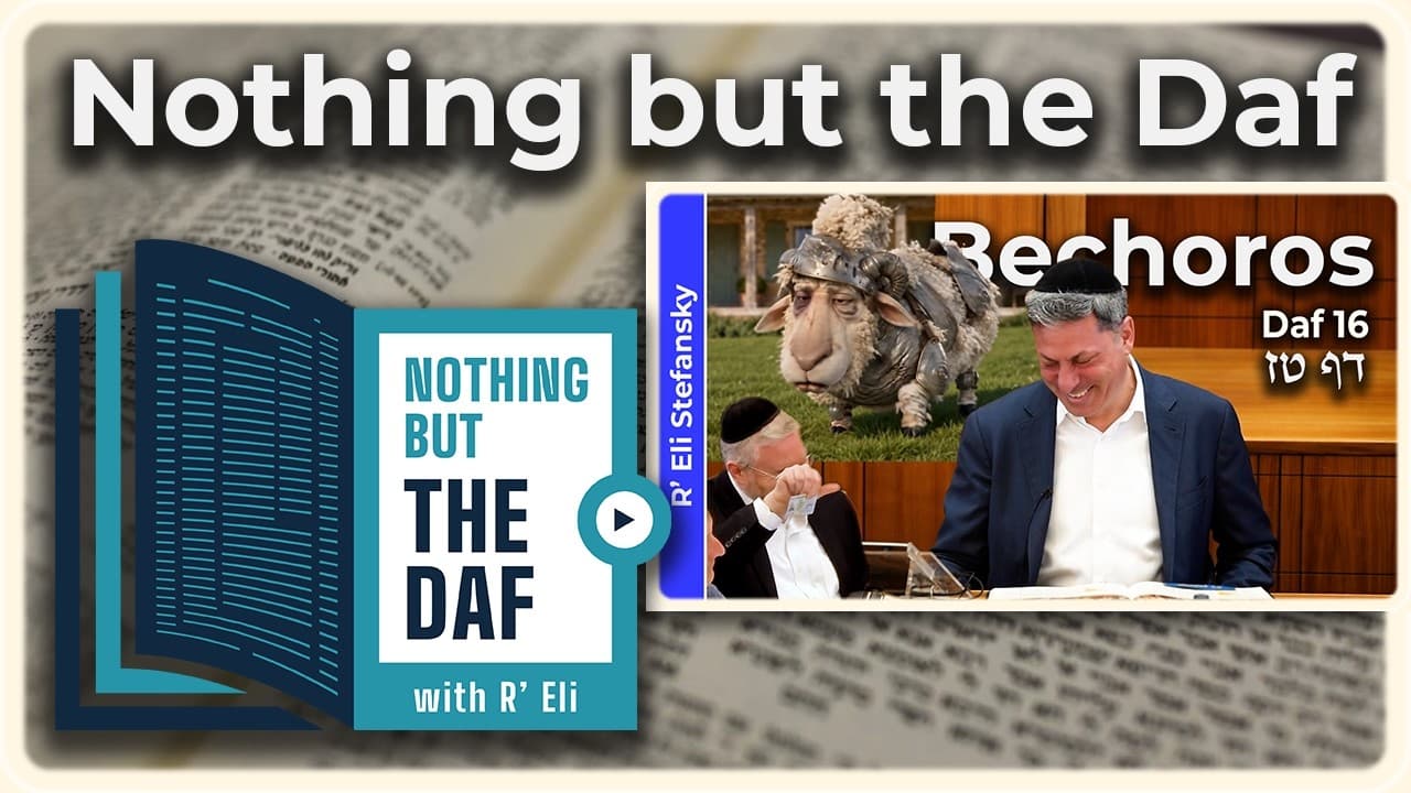 CHAZARAH - Bechoros Daf 16 | "Nothing but the Daf" with R' Eli Stefansky