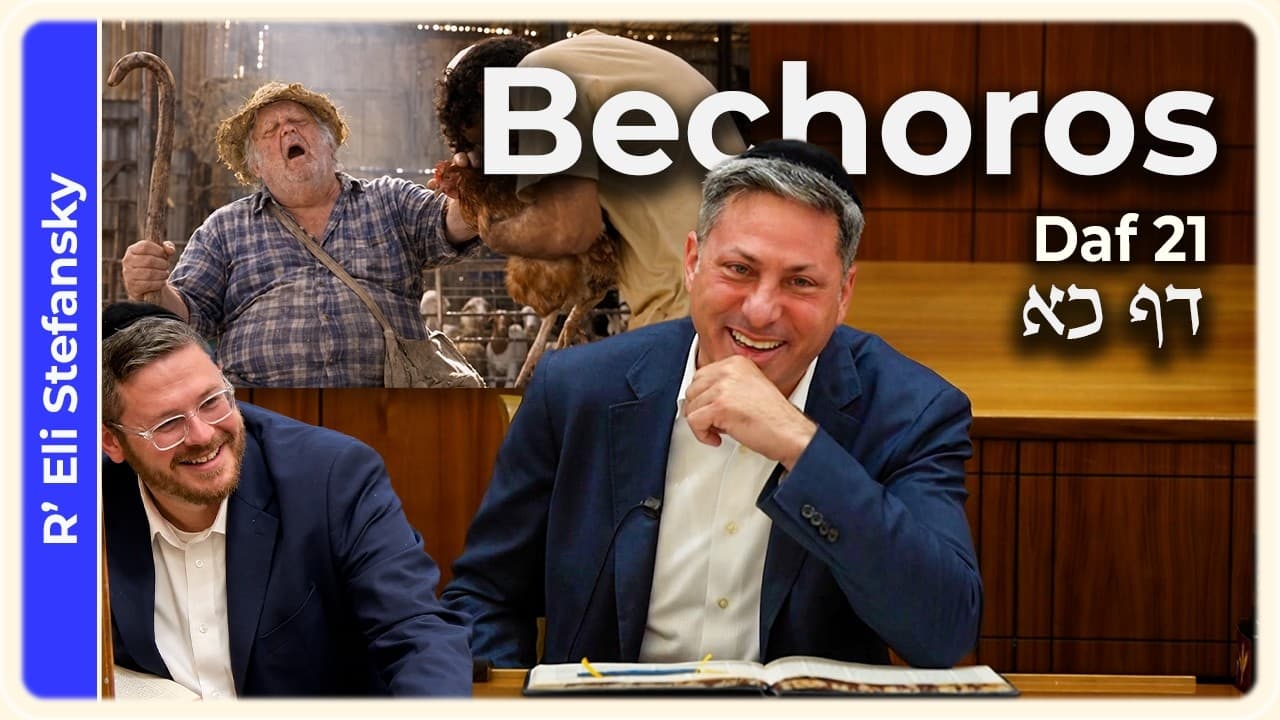 Daf Yomi Bechoros Daf 21 by R' Eli Stefansky