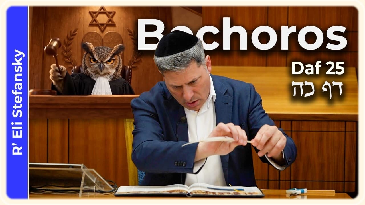 Daf Yomi Bechoros Daf 25 by R' Eli Stefansky