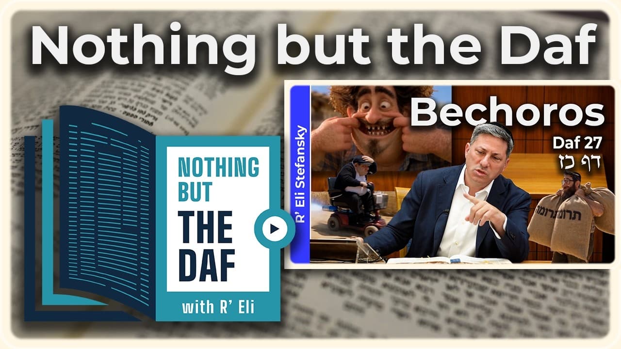 CHAZARAH - Bechoros Daf 27 | "Nothing but the Daf" with R' Eli Stefansky