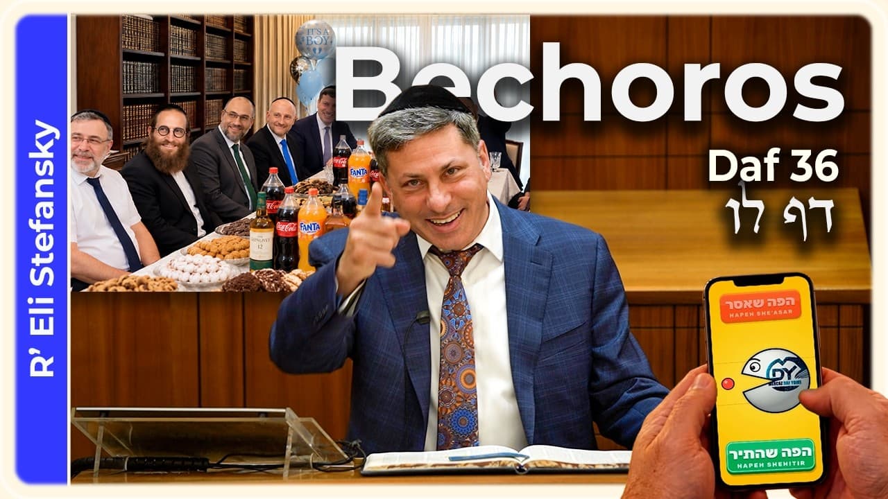 Daf Yomi Bechoros Daf 36 by R' Eli Stefansky