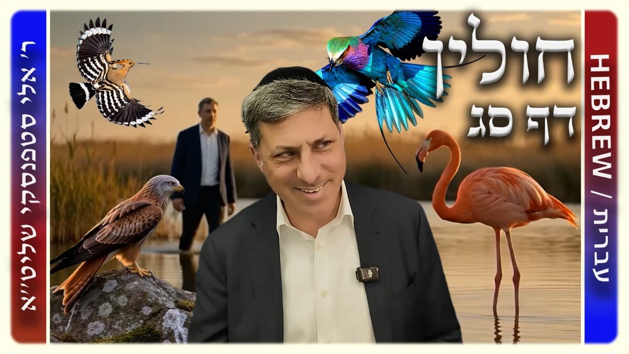 מרכז דף יומי - חולין דף סג. - ר' אלי סטפנסקי שליט"א