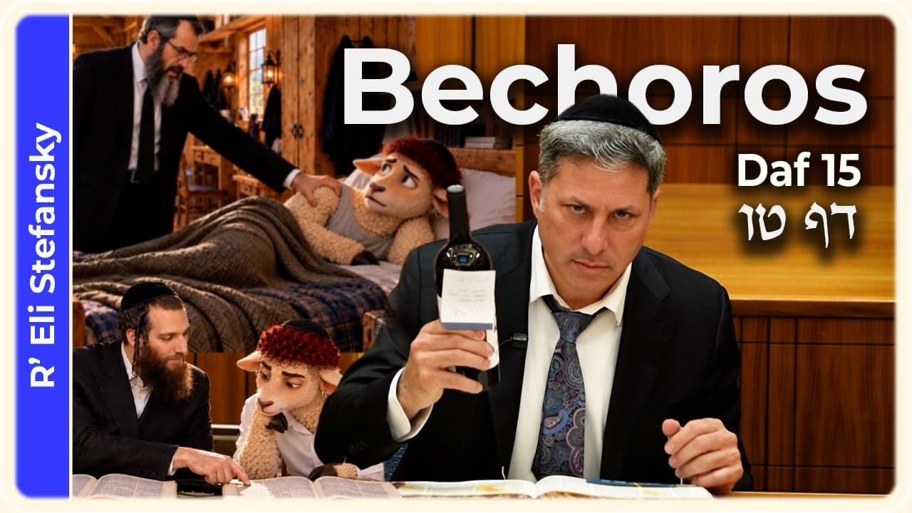 Daf Yomi Bechoros Daf 15 by R' Eli Stefansky
