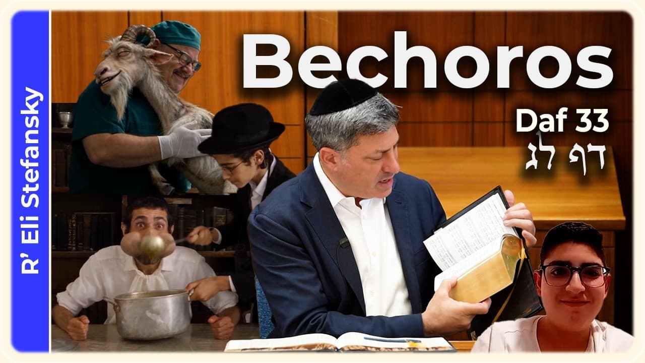 Daf Yomi Bechoros Daf 33 by R' Eli Stefansky