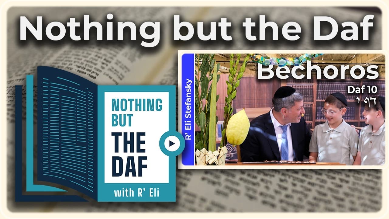 CHAZARAH - Bechoros Daf 10 | "Nothing but the Daf" with R' Eli Stefansky