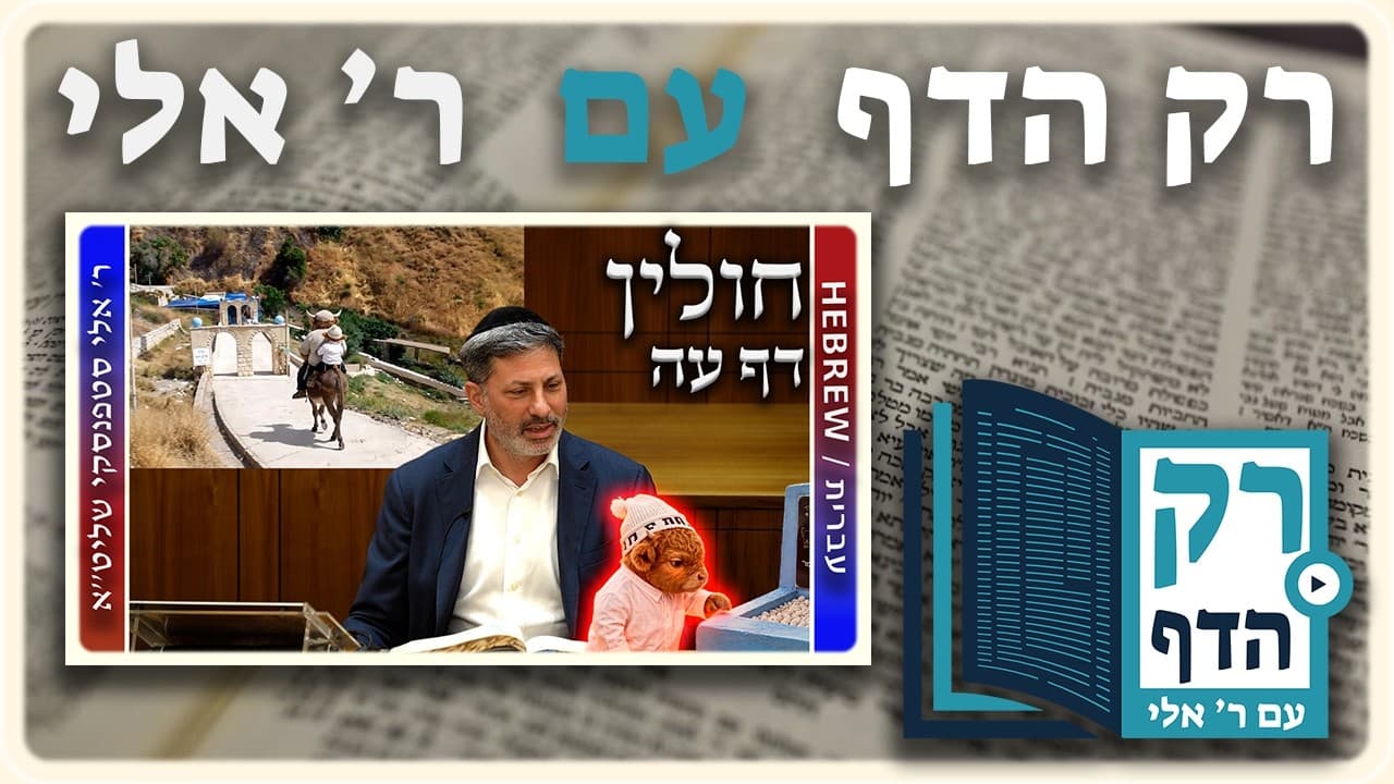 חזרה - חולין דף עה | "רק הדף" עם ר' אלי סטפנסקי