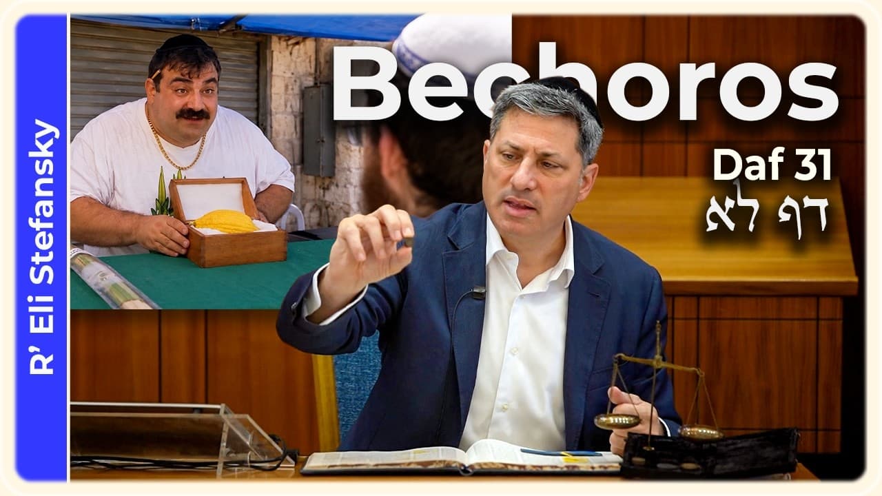 Daf Yomi Bechoros Daf 31 by R' Eli Stefansky