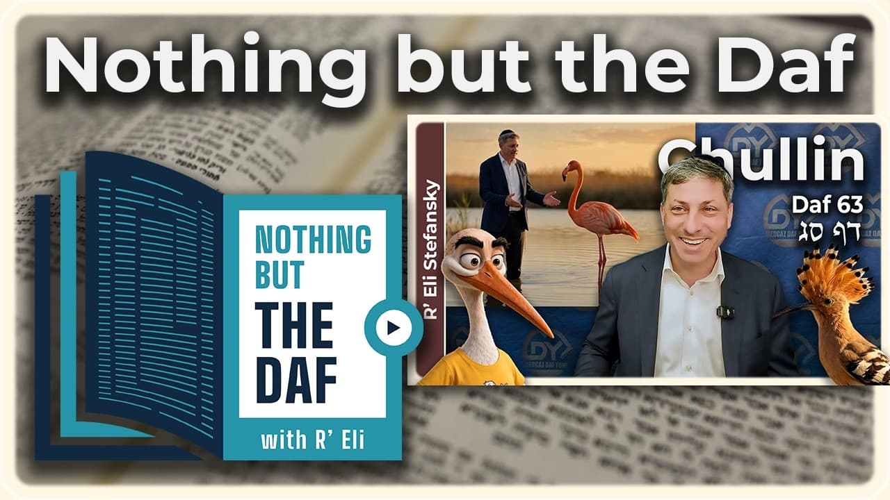 CHAZARAH - Chullin Daf 63 | "Nothing but the Daf" with R' Eli Stefansky
