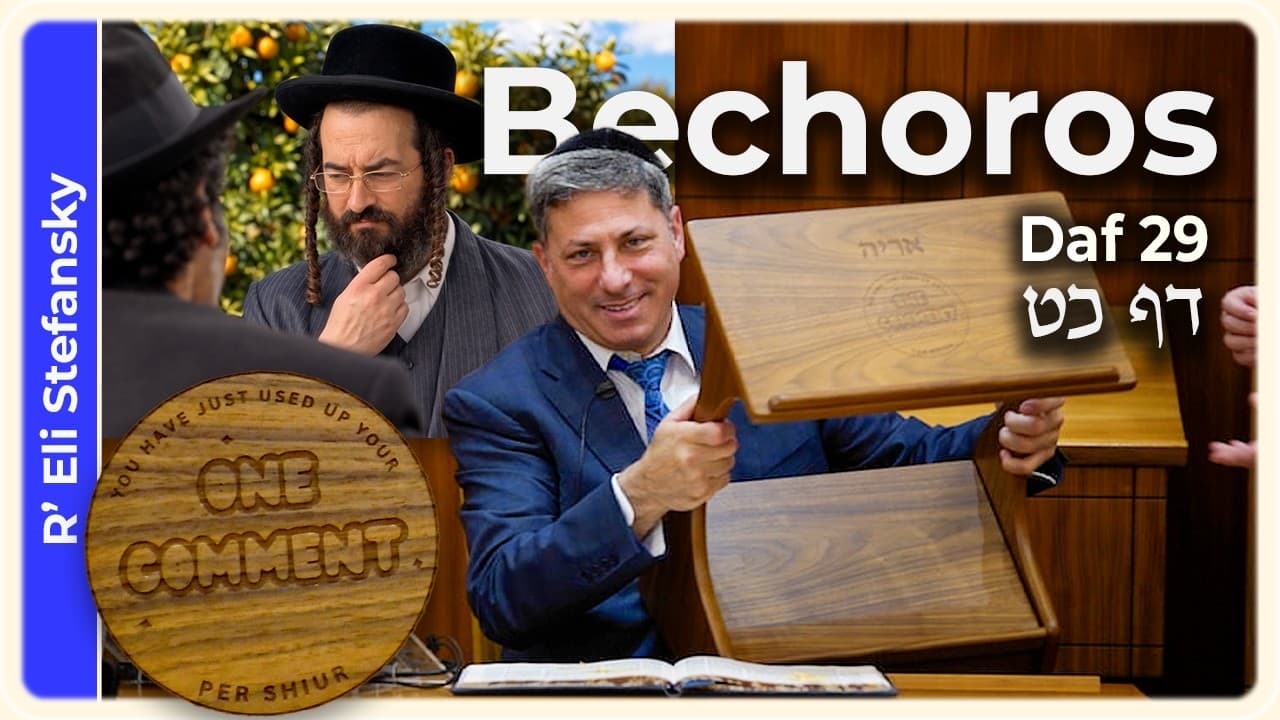 Daf Yomi Bechoros Daf 29 by R' Eli Stefansky