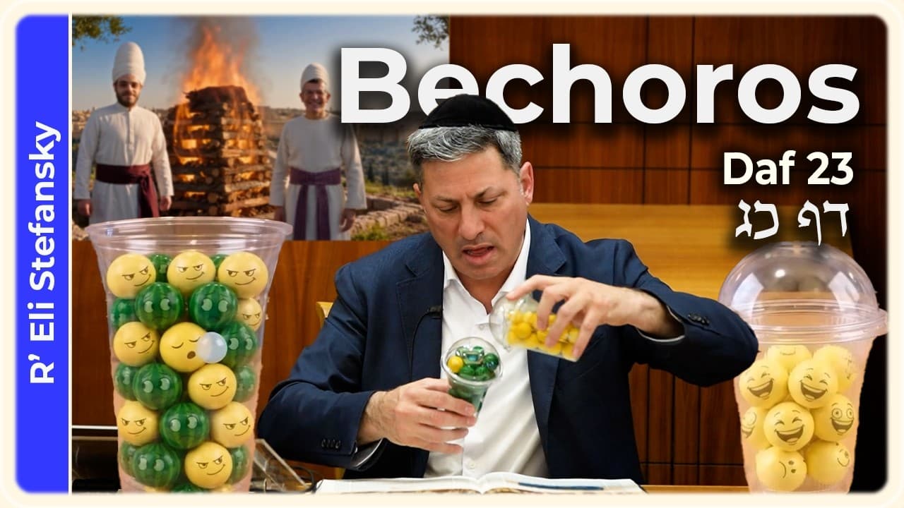 Daf Yomi Bechoros Daf 23 by R' Eli Stefansky