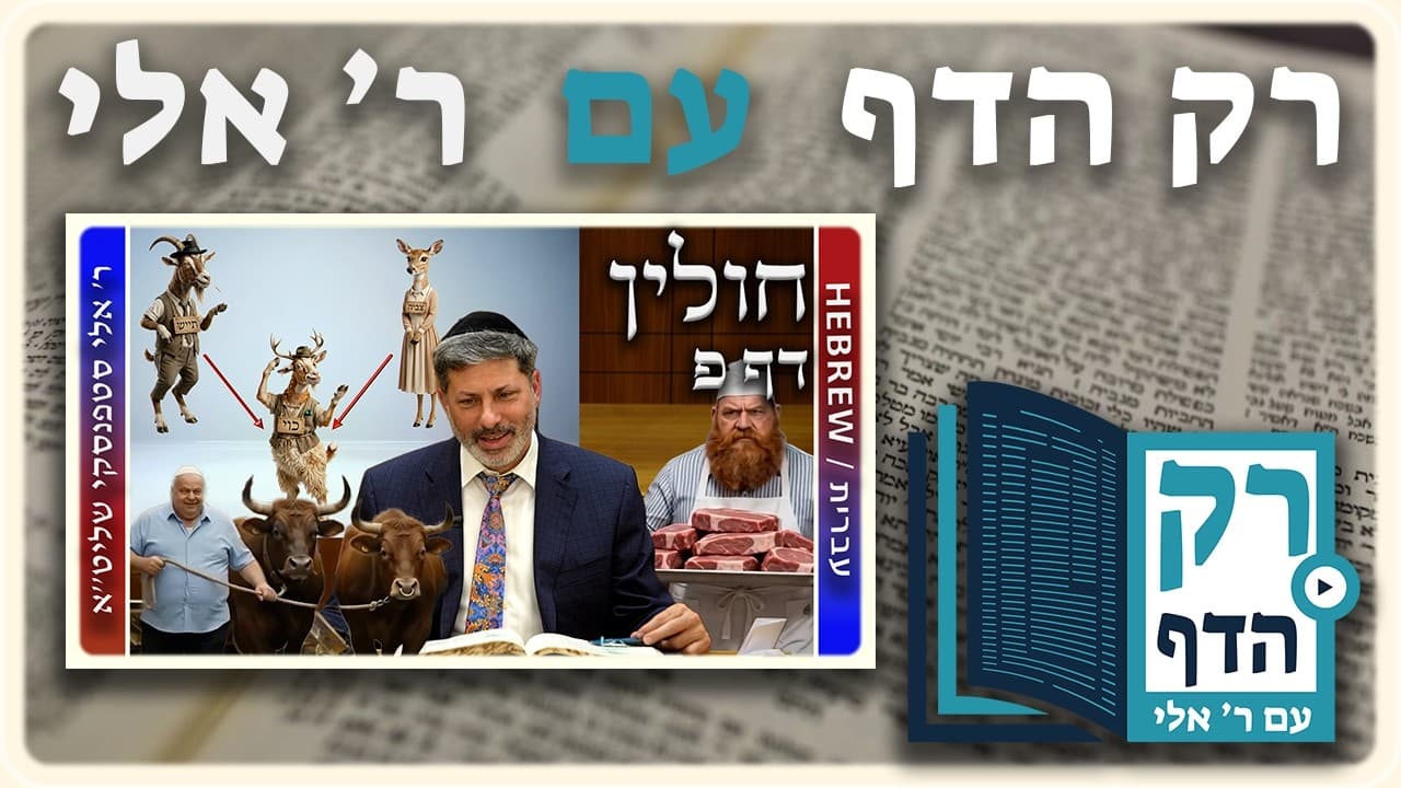 חזרה - חולין דף פ | "רק הדף" עם ר' אלי סטפנסקי