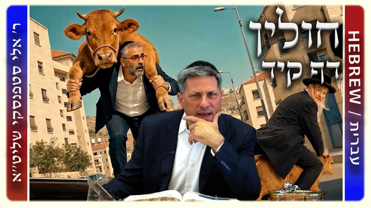 מרכז דף יומי - חולין דף קיד. - ר' אלי סטפנסקי שליט"א
