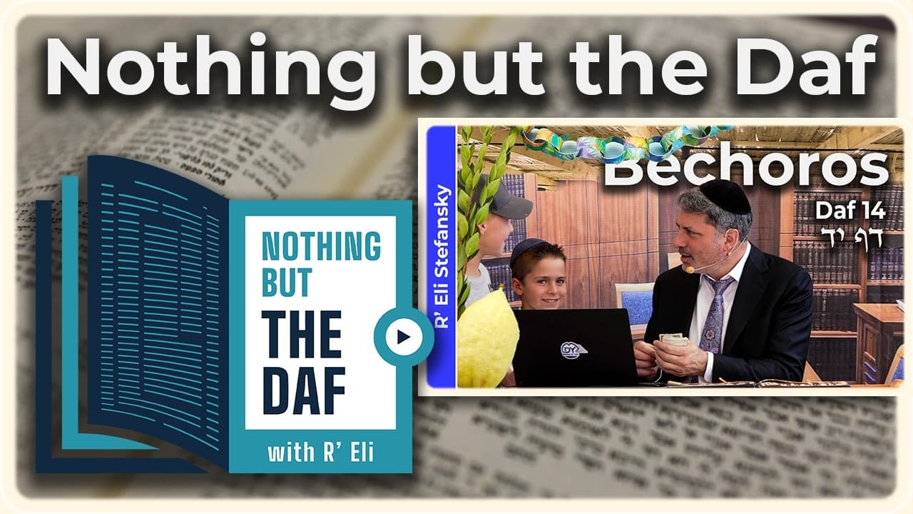 CHAZARAH - Bechoros Daf 14 | "Nothing but the Daf" with R' Eli Stefansky
