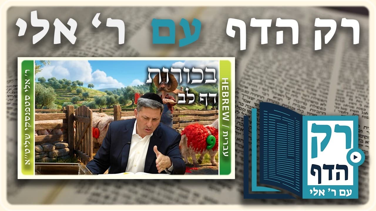 חזרה - בכורות דף לב | "רק הדף" עם ר' אלי סטפנסקי