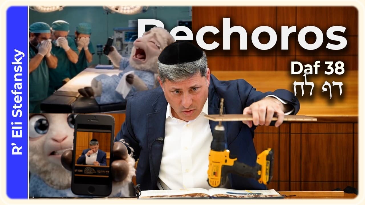 Daf Yomi Bechoros Daf 38 by R' Eli Stefansky