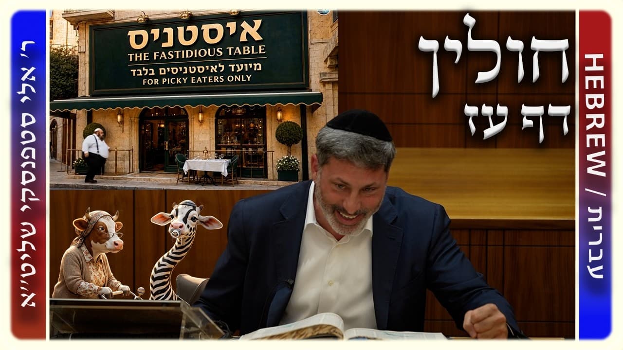 מרכז דף יומי - חולין דף עז. - ר' אלי סטפנסקי שליט"א