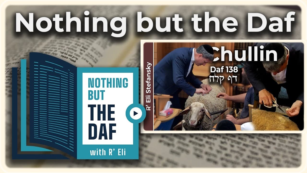CHAZARAH - Chullin Daf 138 | "Nothing but the Daf" with R' Eli Stefansky