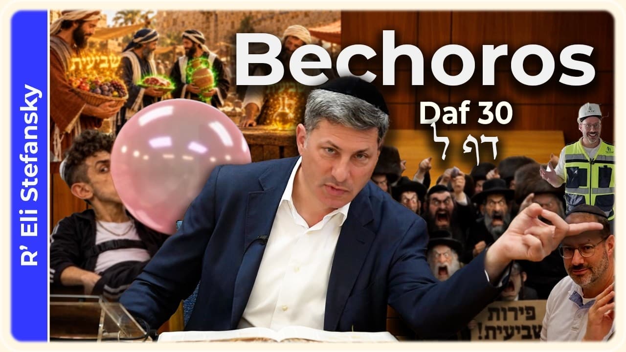 Daf Yomi Bechoros Daf 30 by R' Eli Stefansky