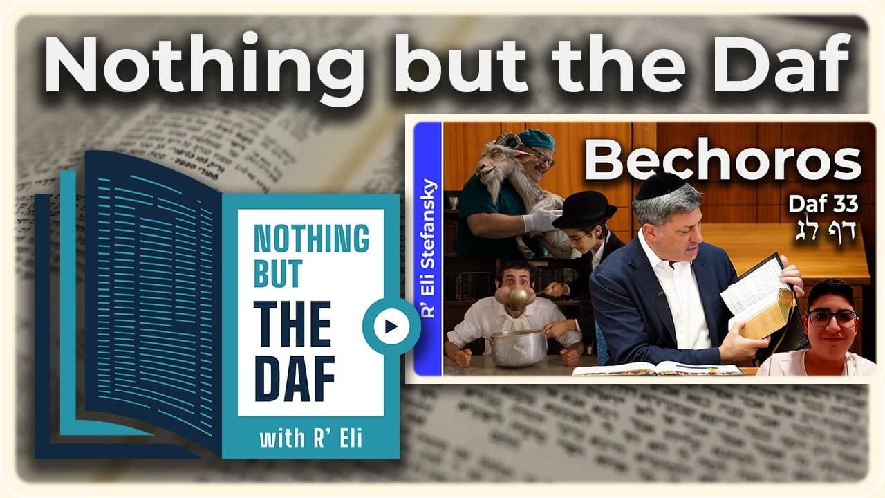 CHAZARAH - Bechoros Daf 33 | "Nothing but the Daf" with R' Eli Stefansky