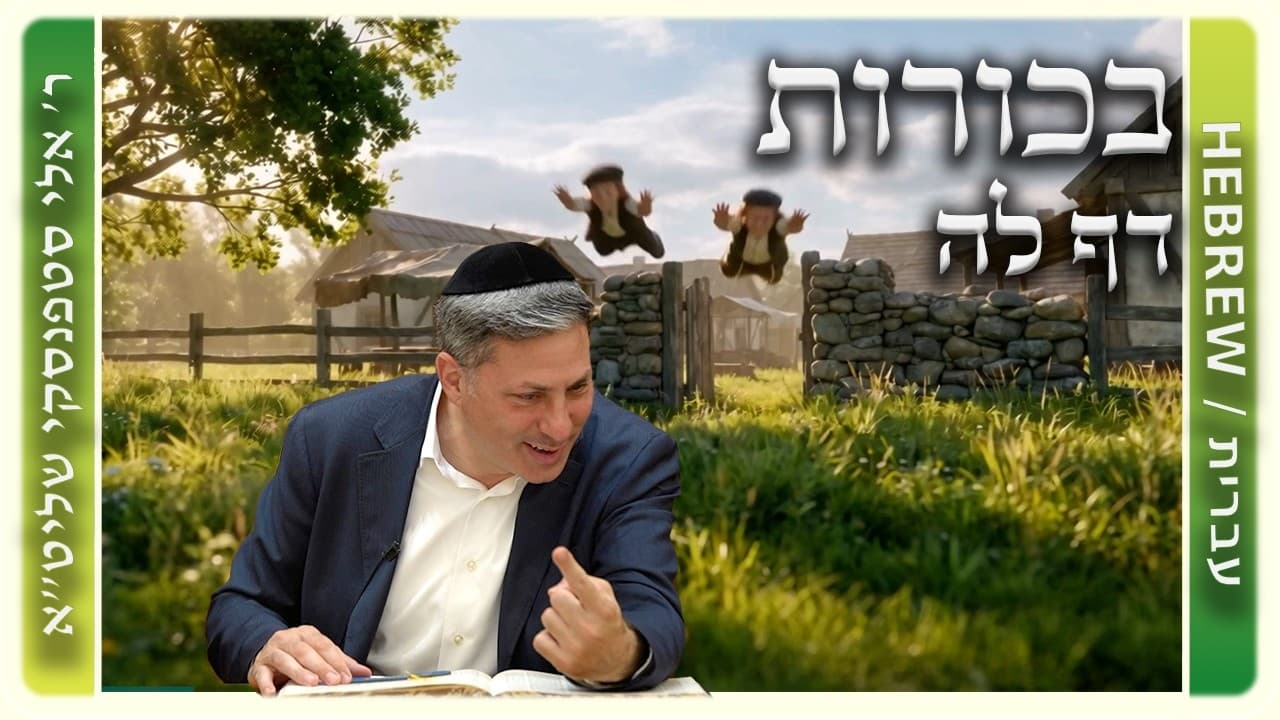 מרכז דף יומי - בכורות דף לה. - ר' אלי סטפנסקי שליט"א