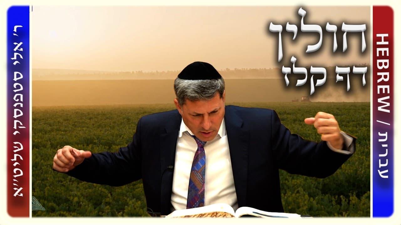 מרכז דף יומי - חולין דף קלז. - ר' אלי סטפנסקי שליט"א