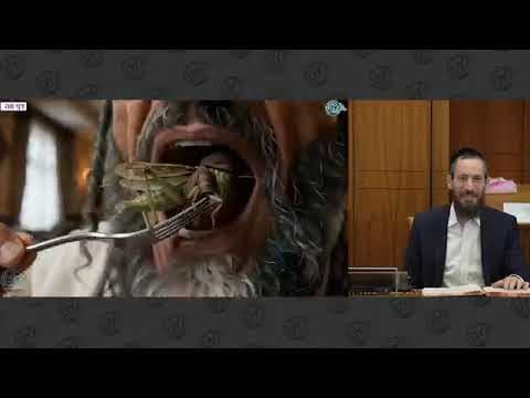 מרכז דף יומי - חולין דף סה - ר' ידידיה קרמר שליט"א