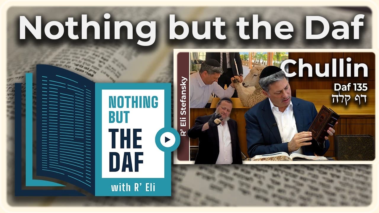 CHAZARAH - Chullin Daf 135 | "Nothing but the Daf" with R' Eli Stefansky