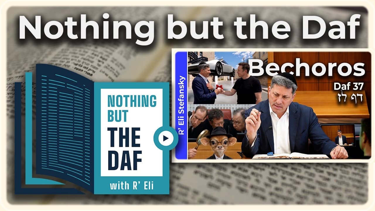 CHAZARAH - Bechoros Daf 37 | "Nothing but the Daf" with R' Eli Stefansky