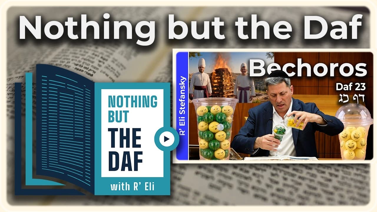 CHAZARAH - Bechoros Daf 23 | "Nothing but the Daf" with R' Eli Stefansky