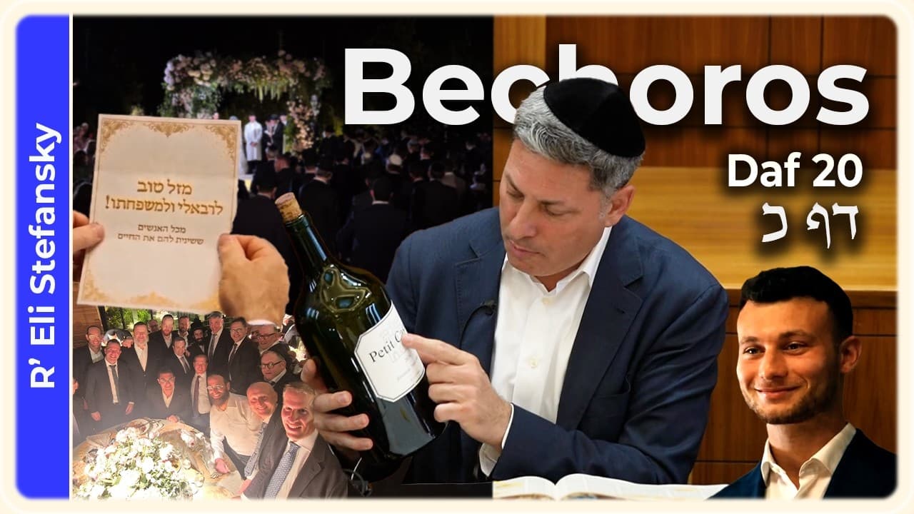 Daf Yomi Bechoros Daf 20 by R' Eli Stefansky