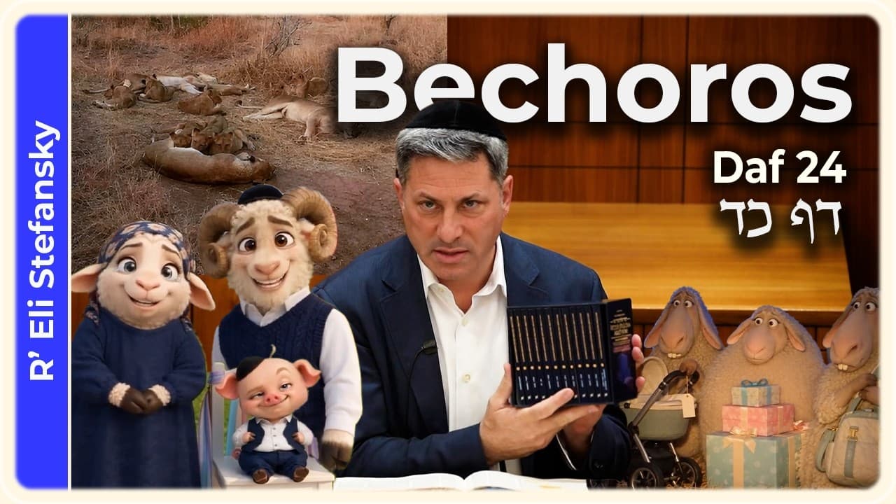 Daf Yomi Bechoros Daf 24 by R' Eli Stefansky