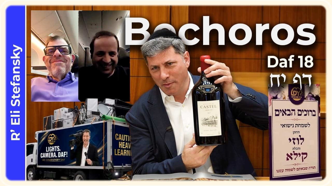 Daf Yomi Bechoros Daf 18 by R' Eli Stefansky