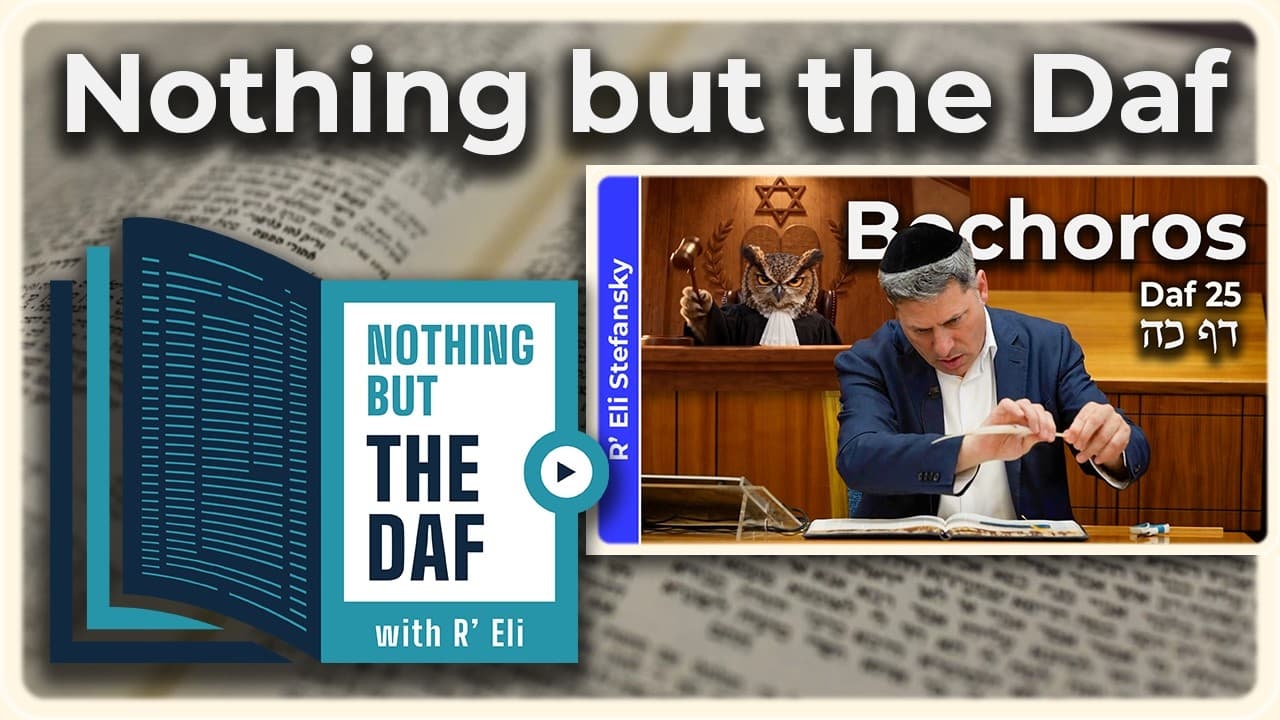 CHAZARAH - Bechoros Daf 25 | "Nothing but the Daf" with R' Eli Stefansky