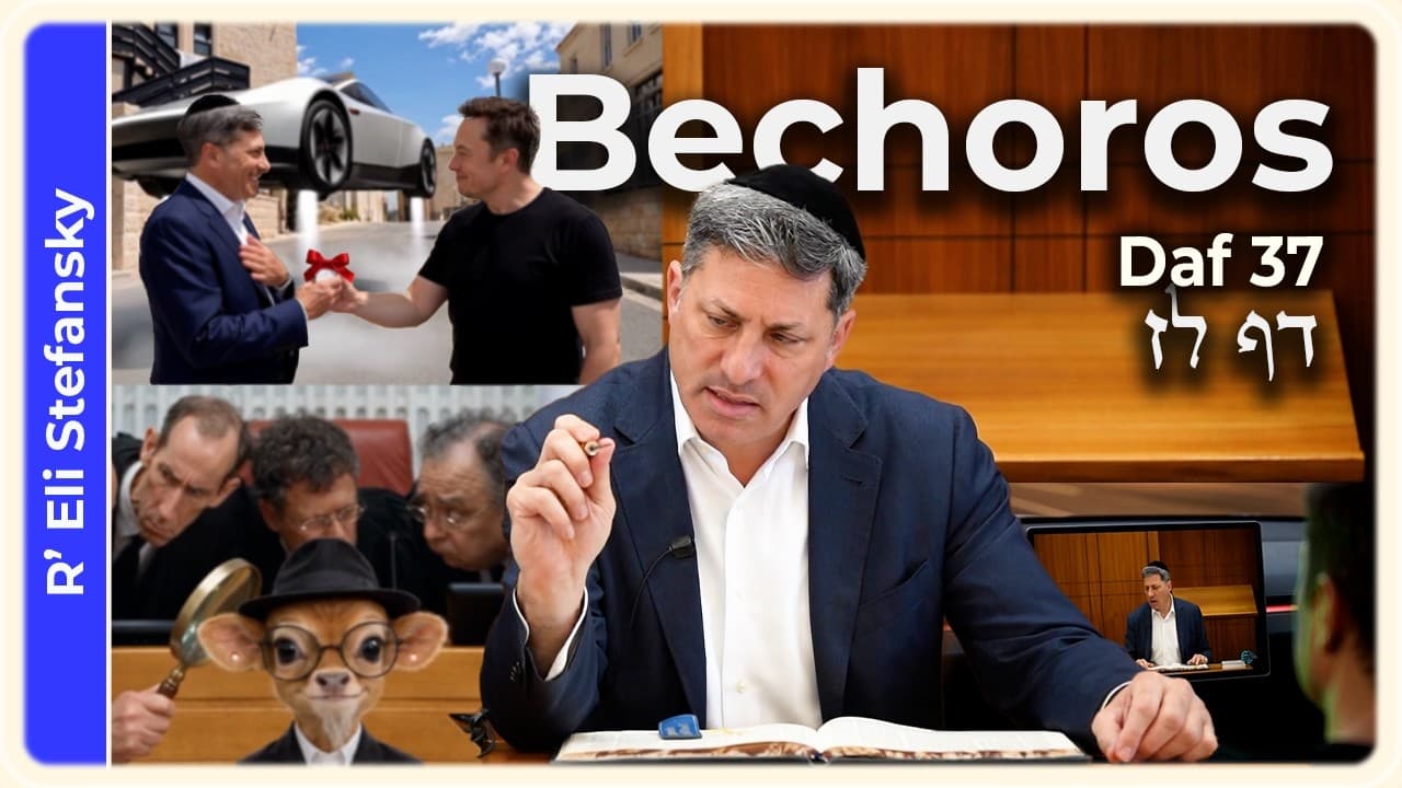 Daf Yomi Bechoros Daf 37 by R' Eli Stefansky