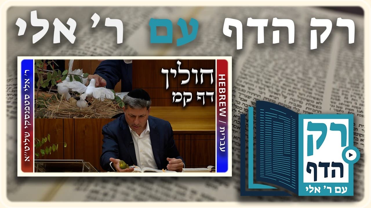 חזרה - חולין דף קמ | "רק הדף" עם ר' אלי סטפנסקי