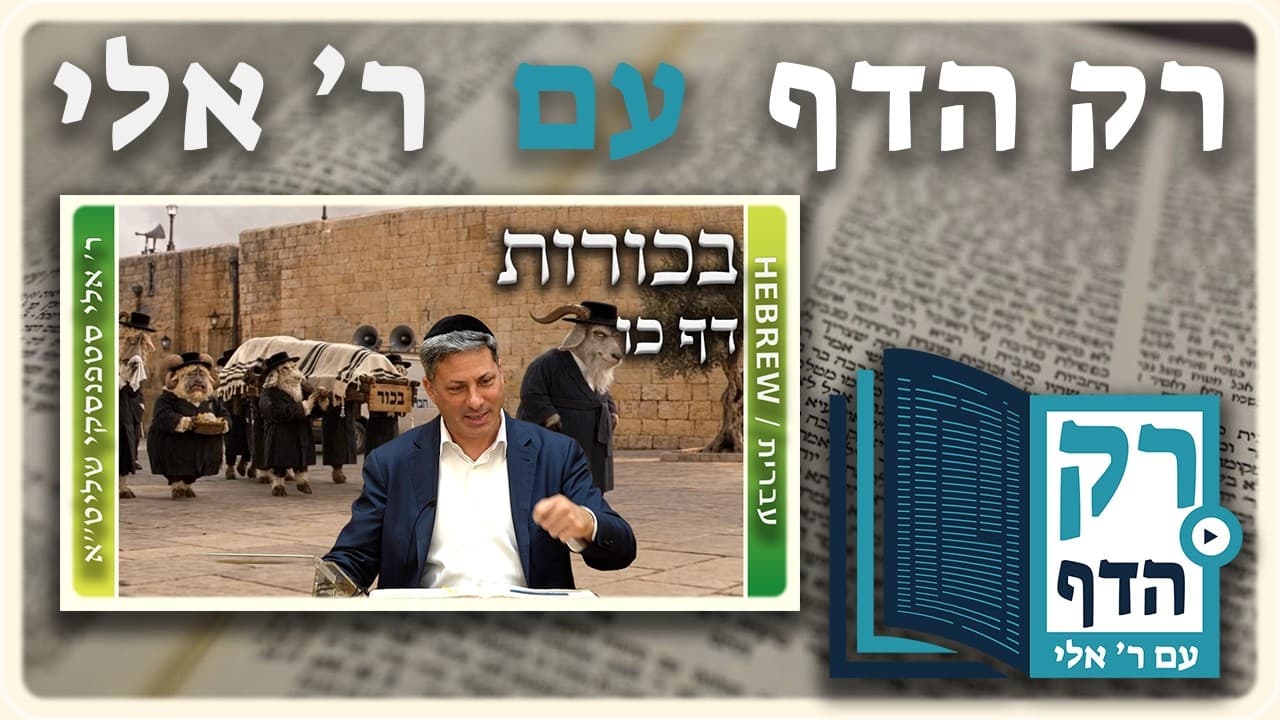 חזרה - בכורות דף כו | "רק הדף" עם ר' אלי סטפנסקי