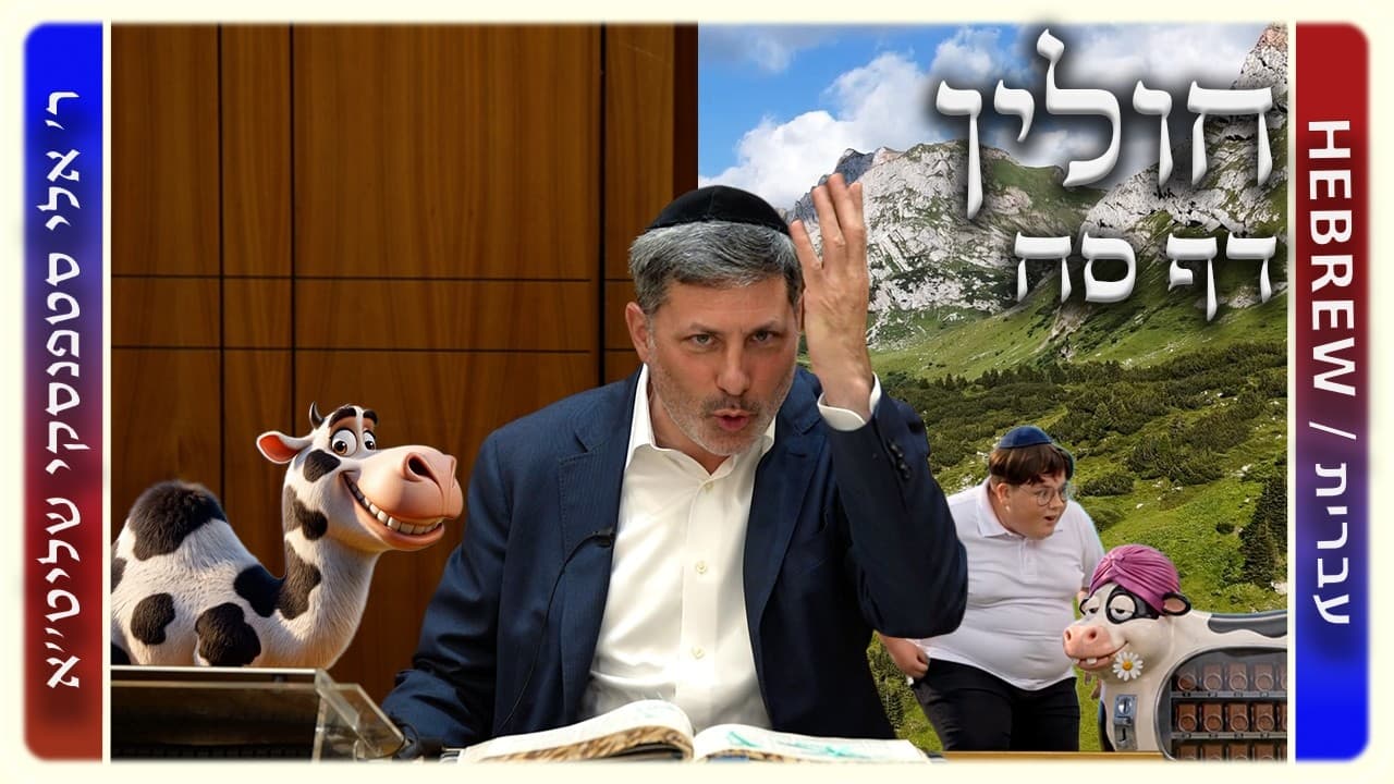 מרכז דף יומי - חולין דף סח. - ר' אלי סטפנסקי שליט"א
