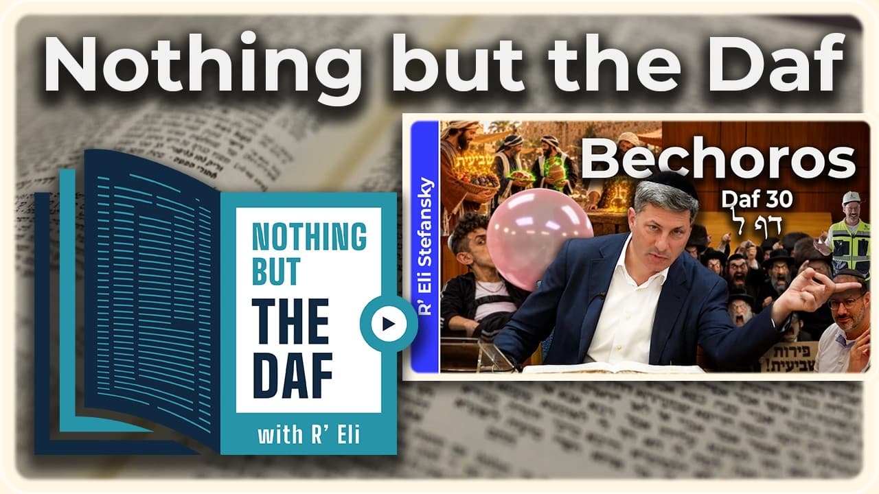 CHAZARAH - Bechoros Daf 30 | "Nothing but the Daf" with R' Eli Stefansky