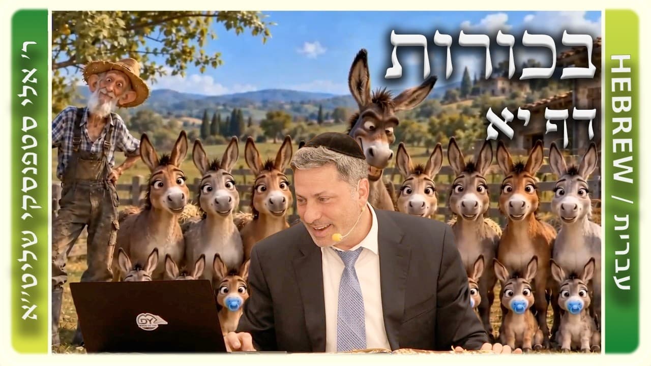 מרכז דף יומי - בכורות דף יא. - ר' אלי סטפנסקי שליט"א
