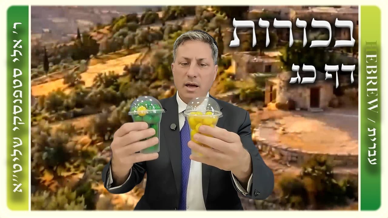 מרכז דף יומי - בכורות דף כג. - ר' אלי סטפנסקי שליט"א