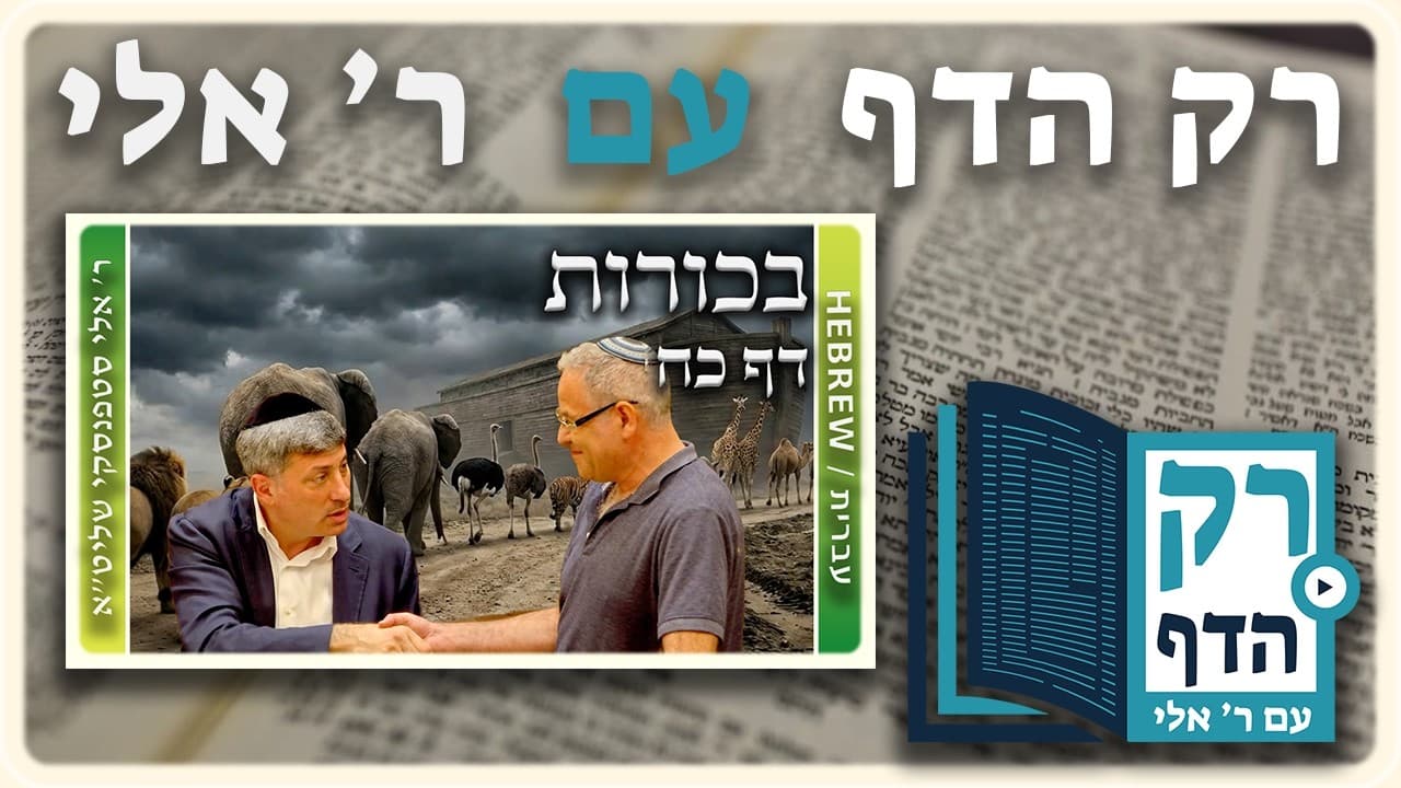 חזרה - בכורות דף כז | "רק הדף" עם ר' אלי סטפנסקי