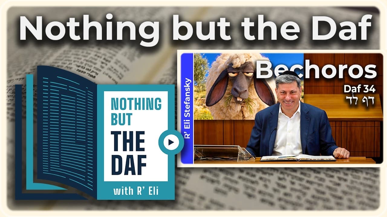 CHAZARAH - Bechoros Daf 34 | "Nothing but the Daf" with R' Eli Stefansky