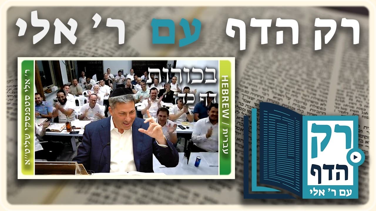 חזרה - בכורות דף כד | "רק הדף" עם ר' אלי סטפנסקי