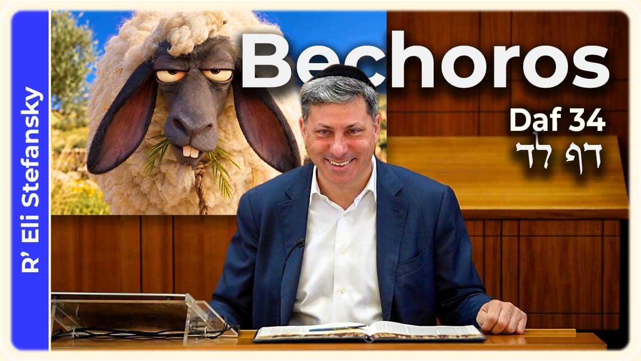 Daf Yomi Bechoros Daf 34 by R' Eli Stefansky