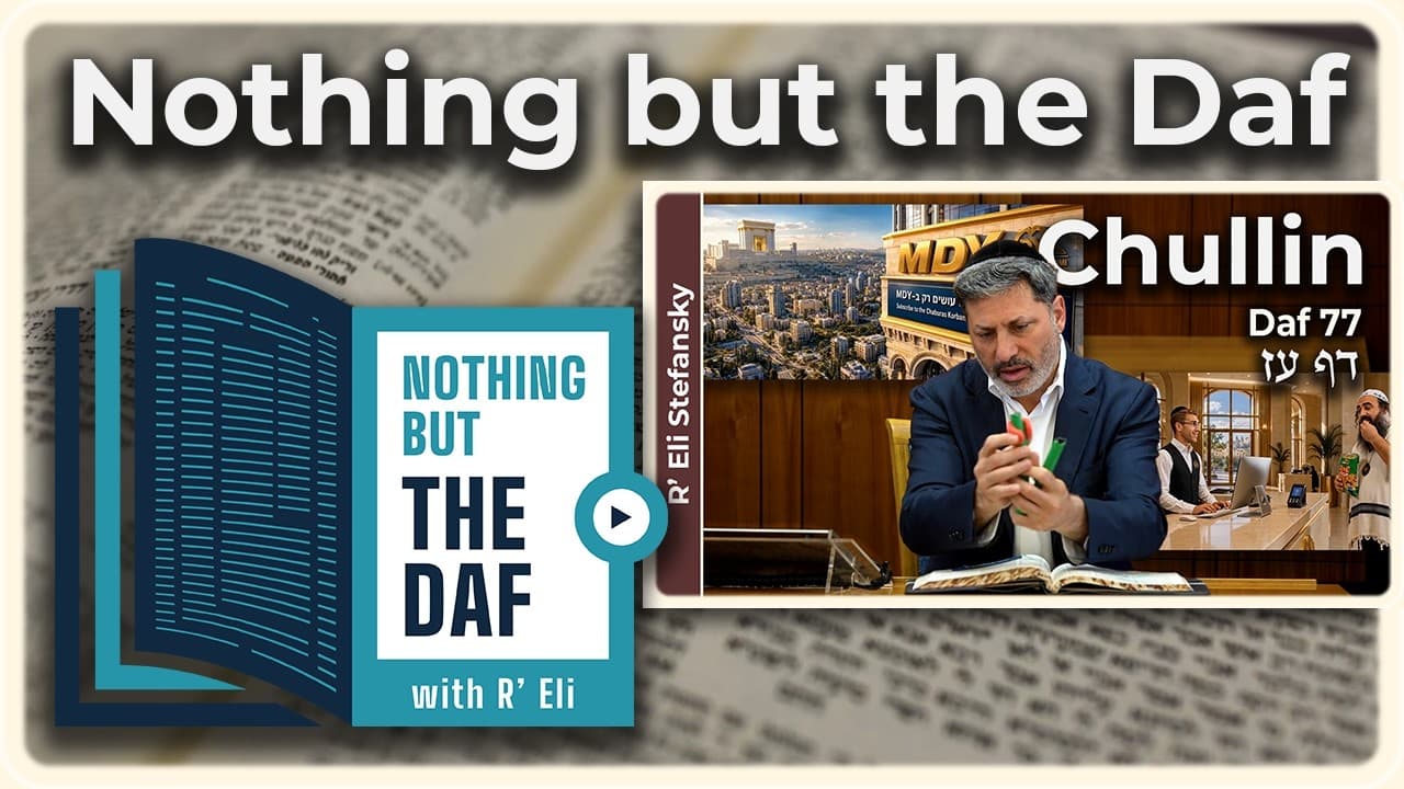 CHAZARAH - Chullin Daf 77 | "Nothing but the Daf" with R' Eli Stefansky
